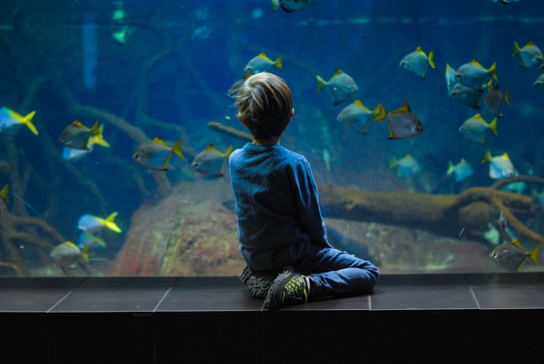 Aquascaping