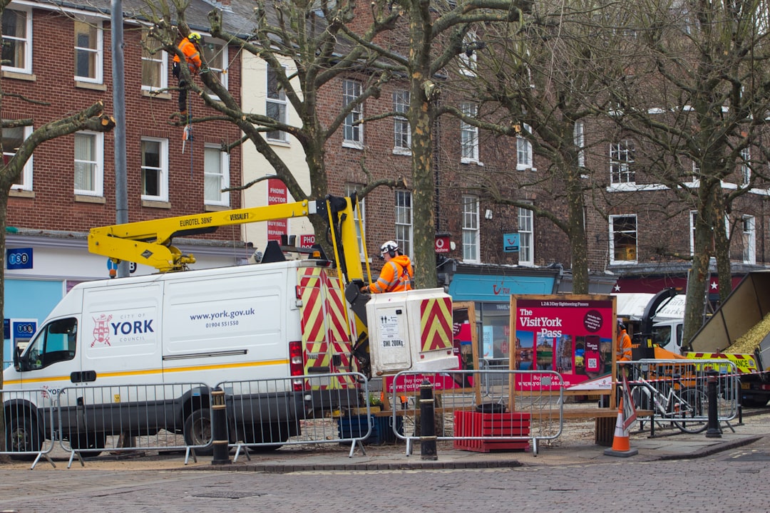 Tree Pruning