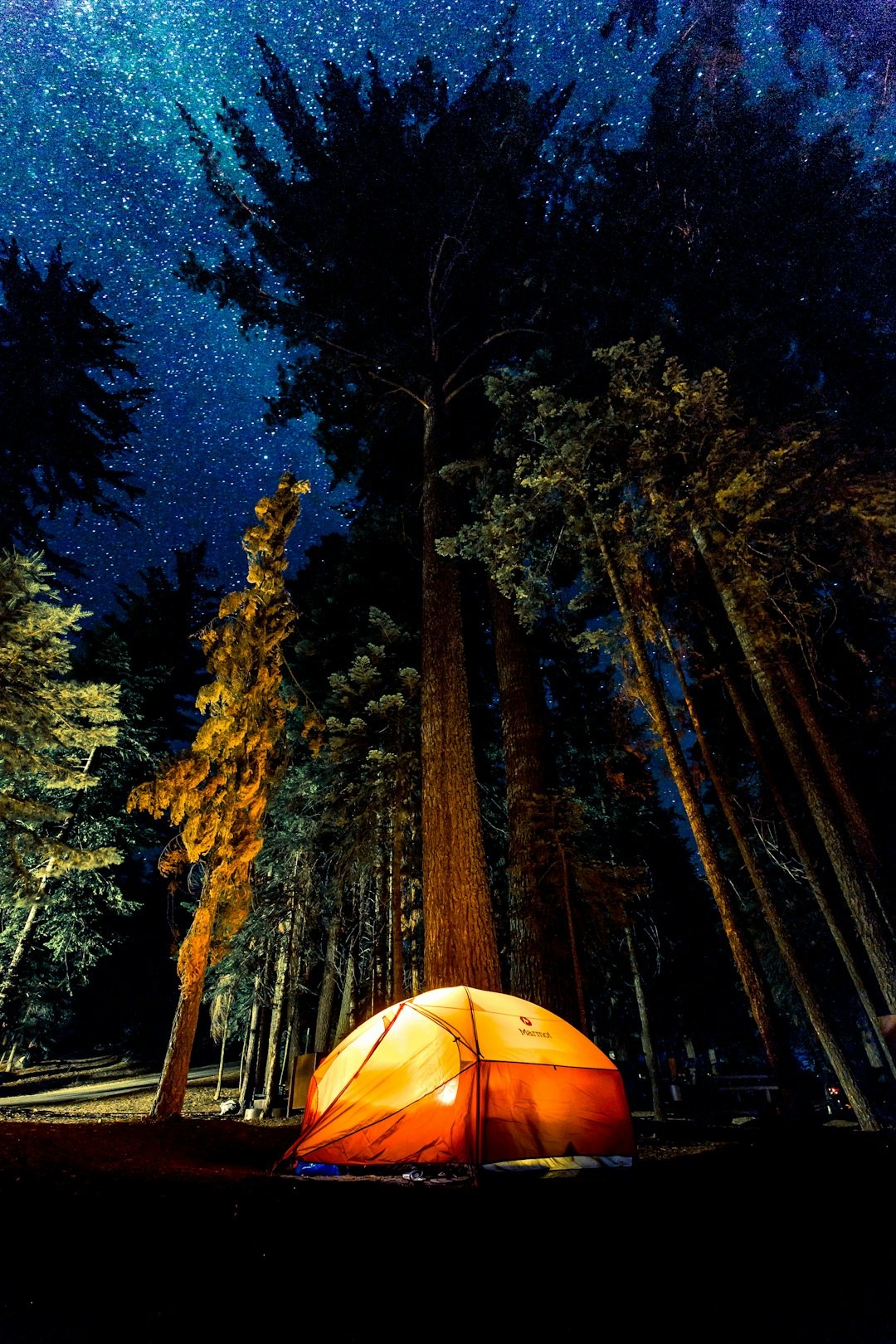 Wilderness moment