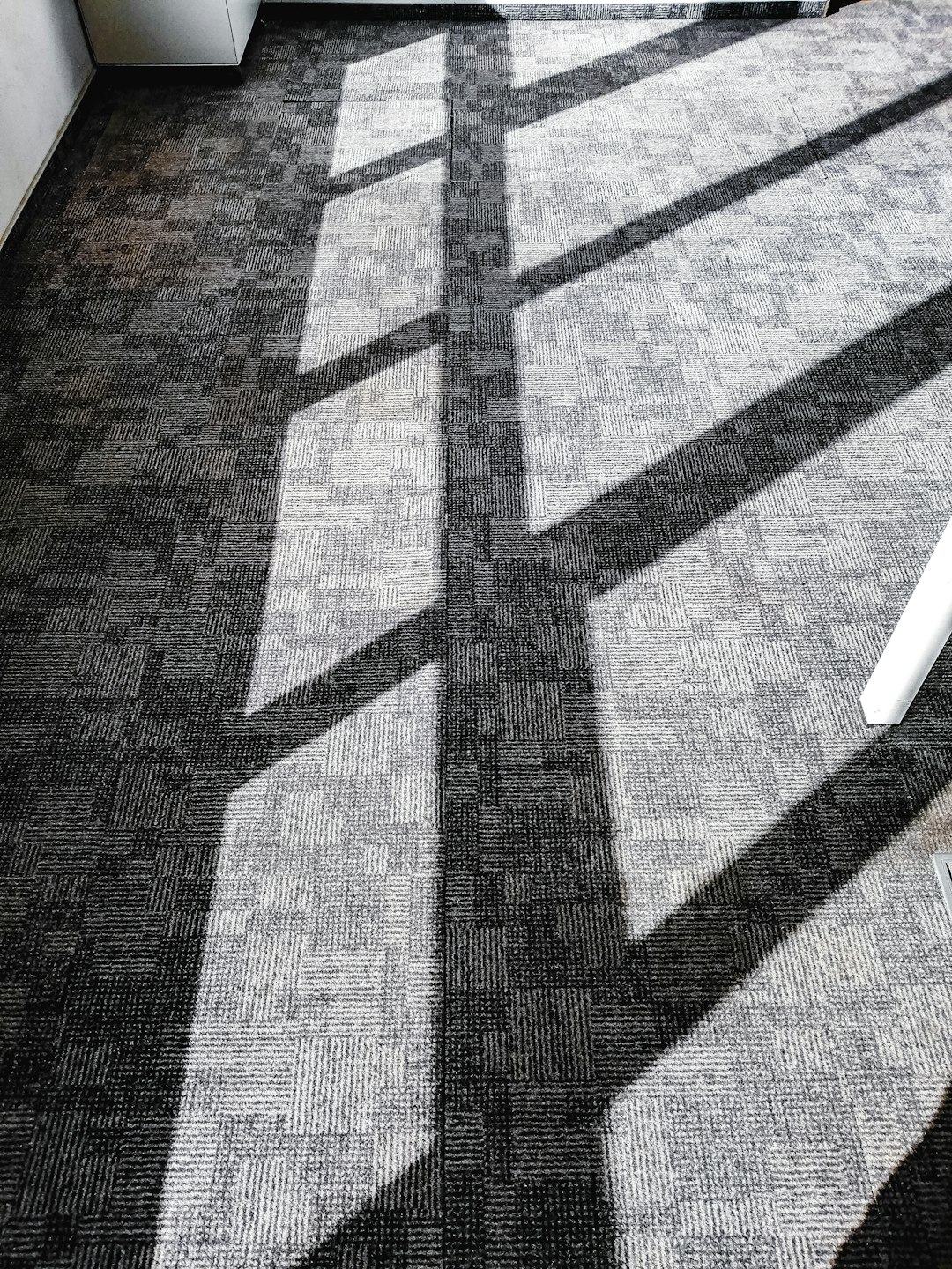 Plush Carpeting