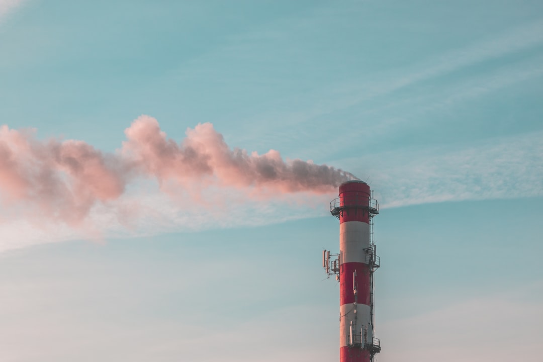 Professional Chimney