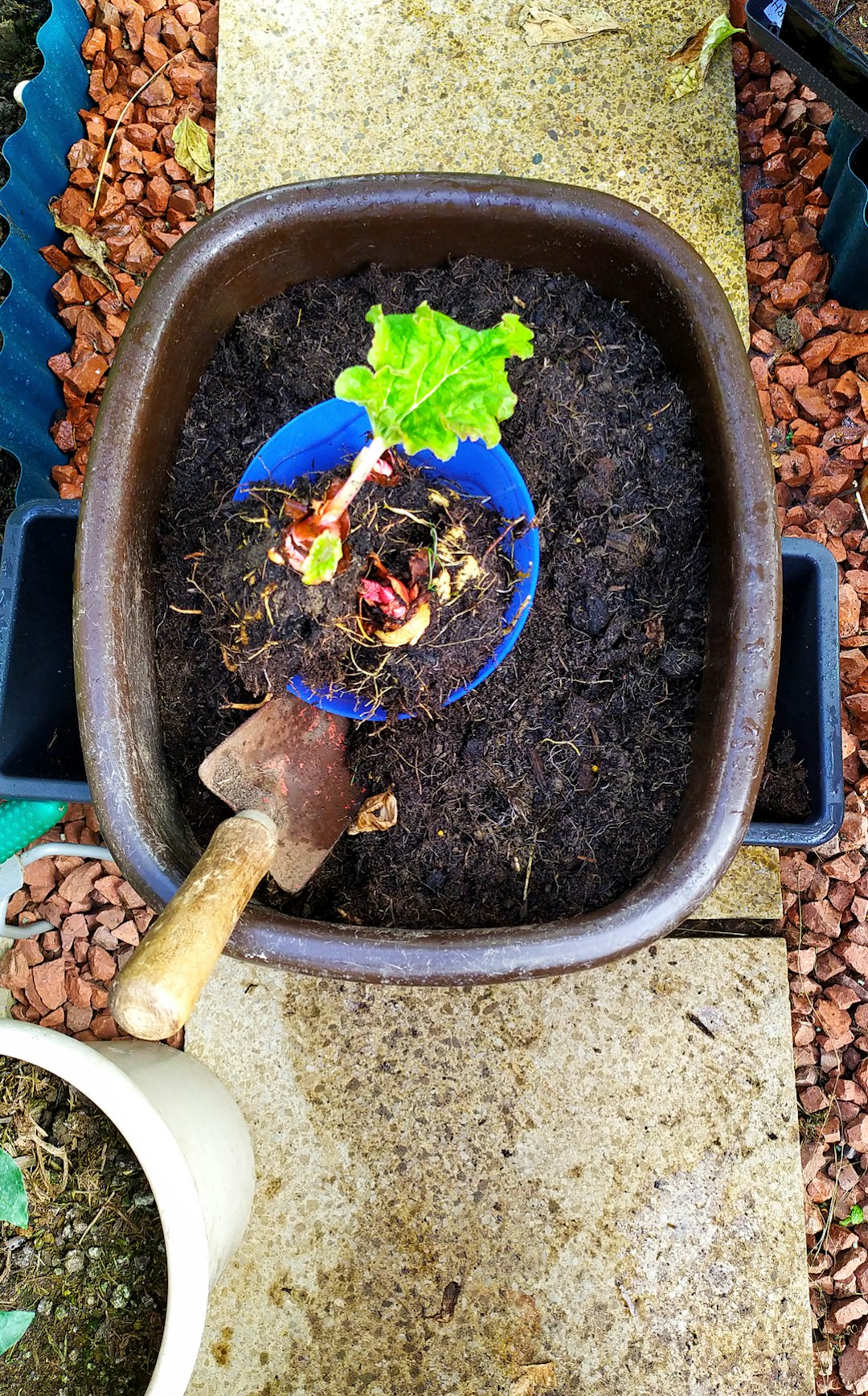 Premium Soil