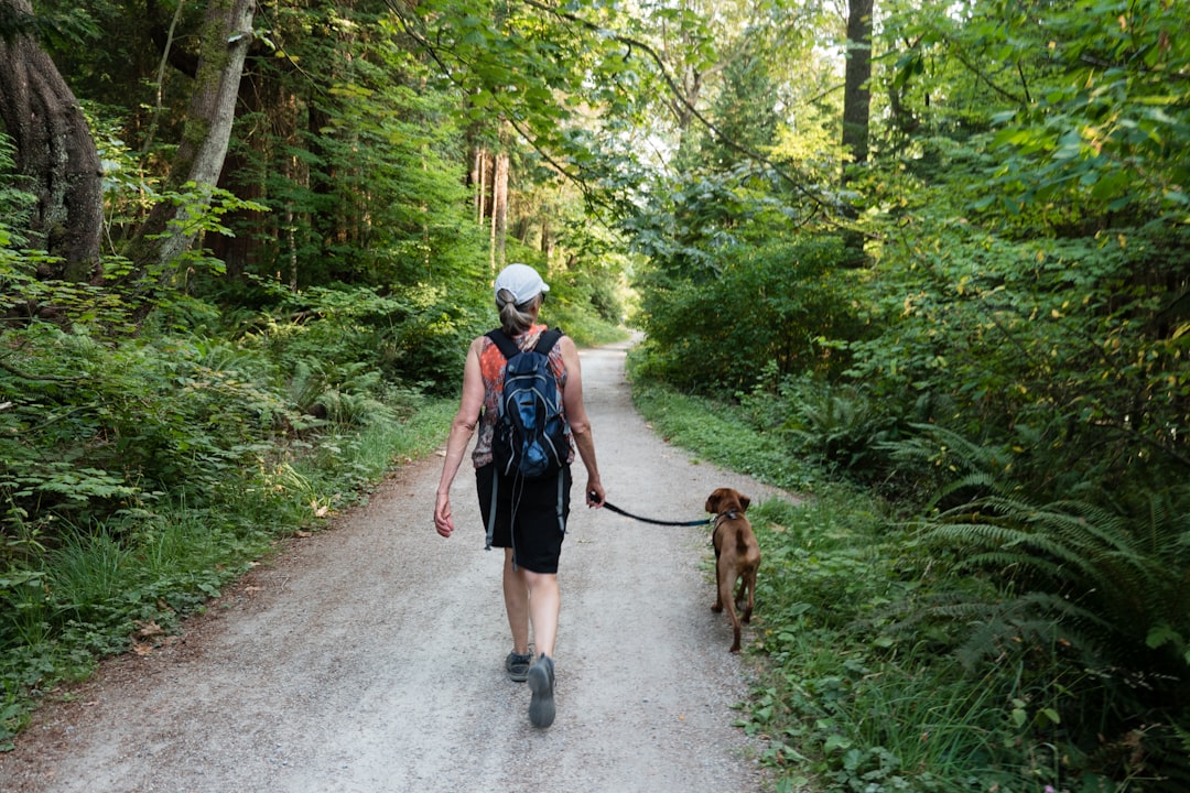 Group Walks