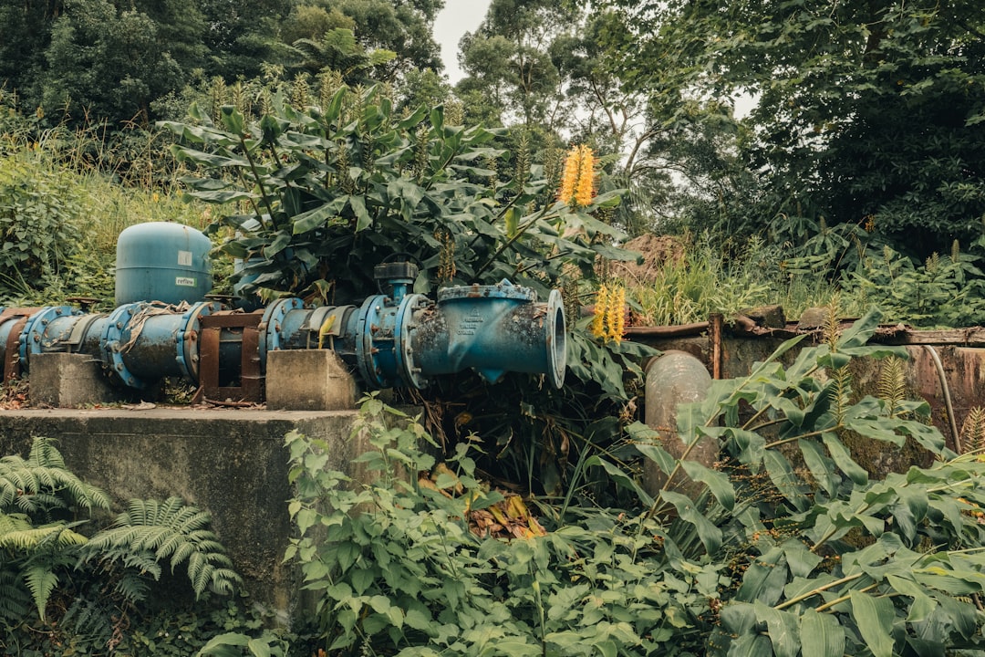 Septic Pumping