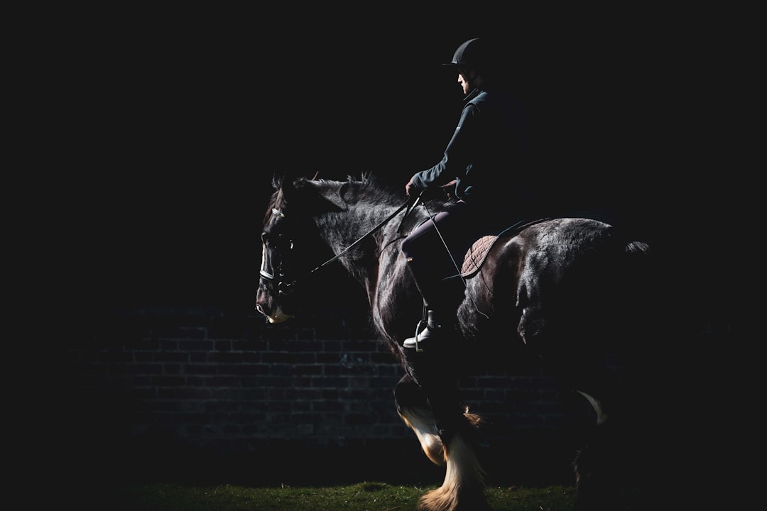 Equestrian Connection