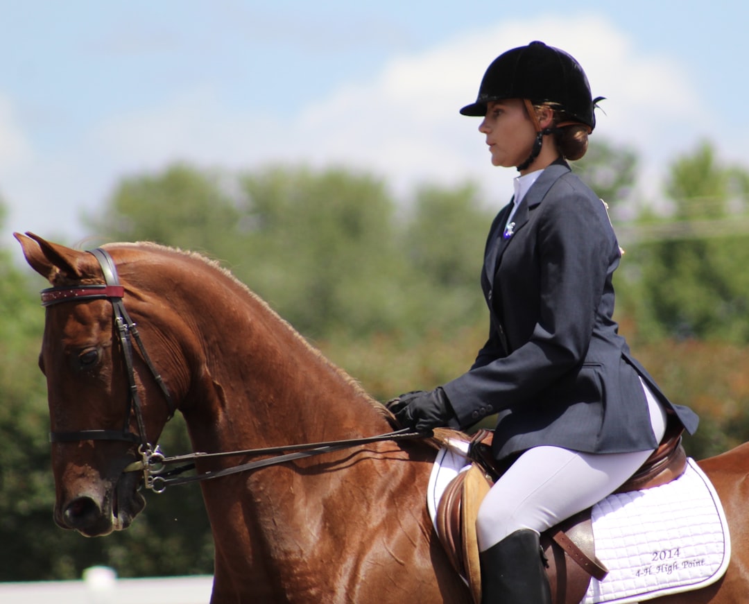 Equine Training