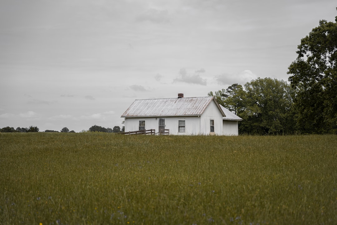 Homesteading