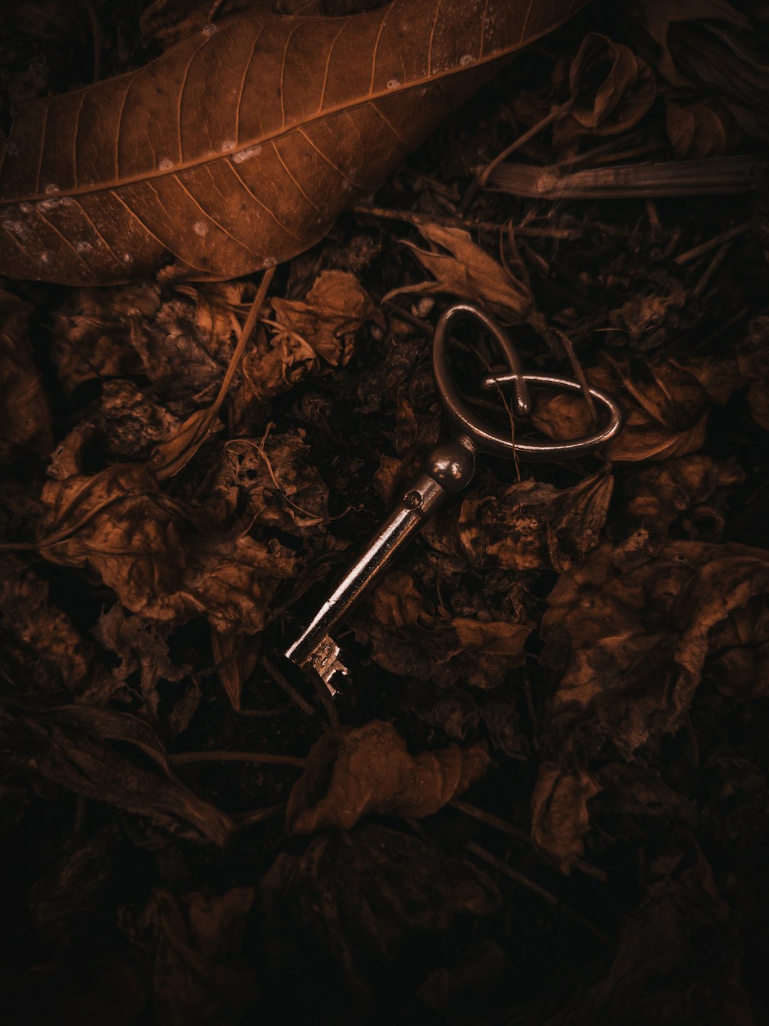 Reel 4