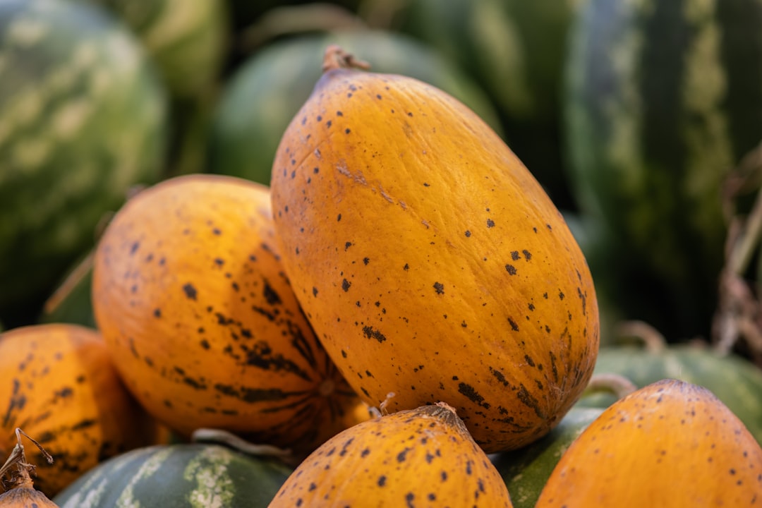 Fresh Harvest