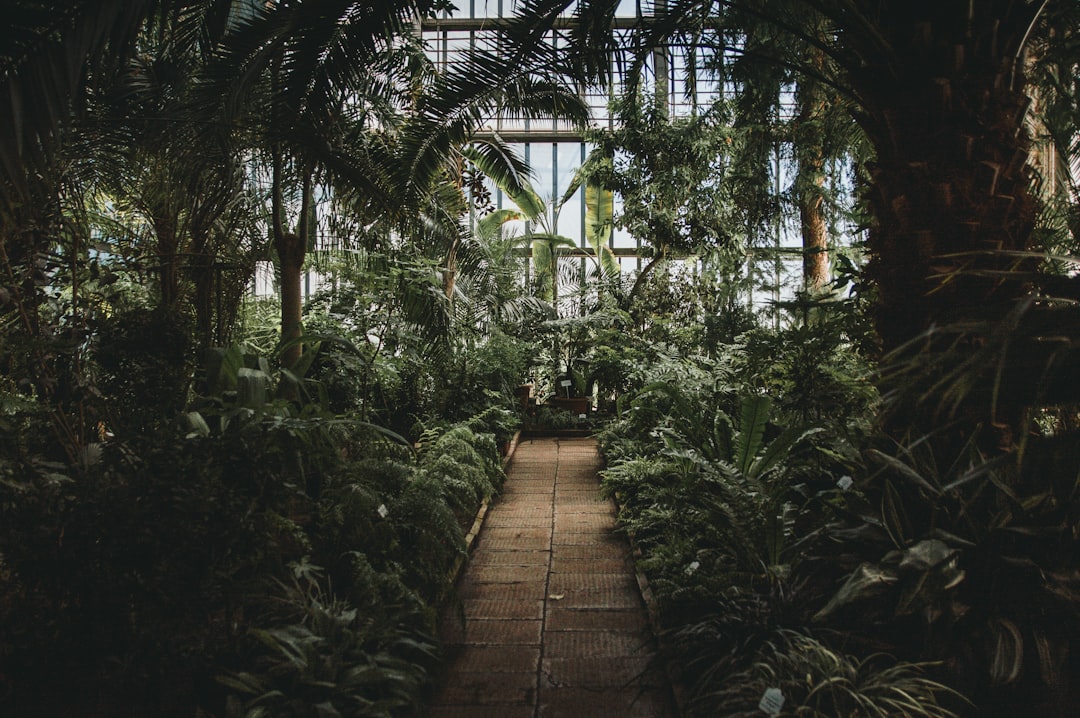Soil