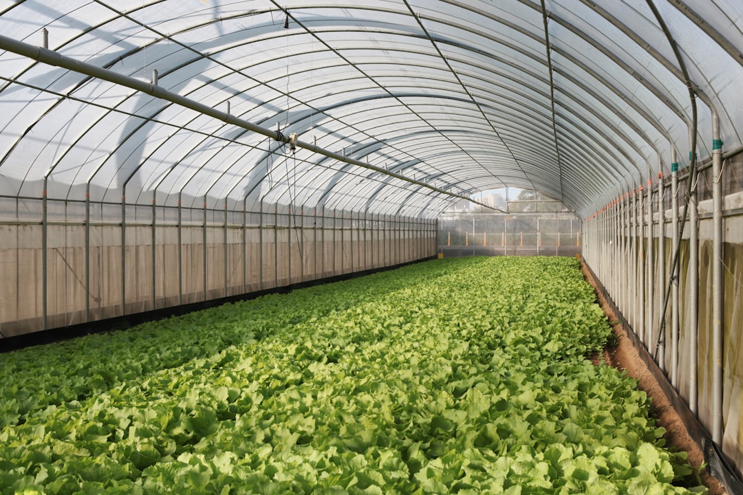 Organic Gardening