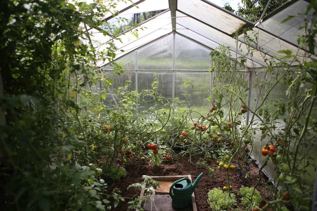 Greenhouse interior