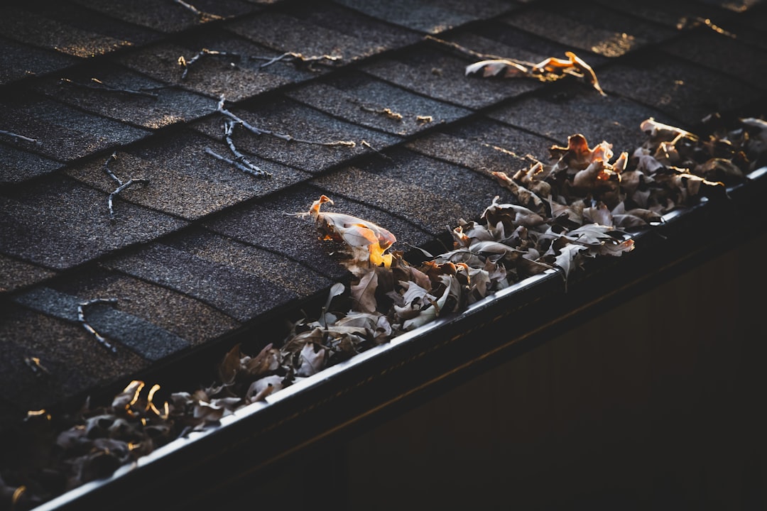 Gutter Professional