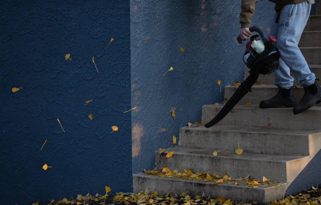 Gutter Cleaning Professional