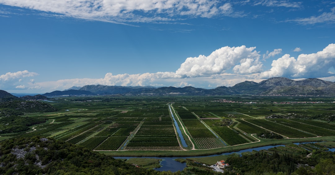 Smart Irrigation