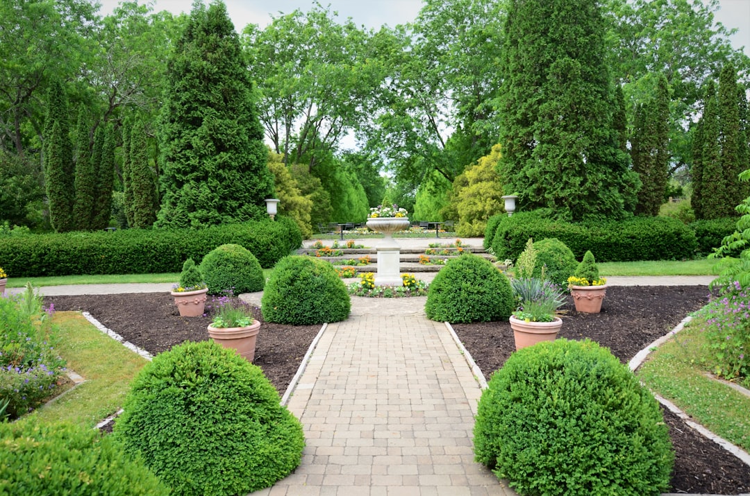 Serene landscape