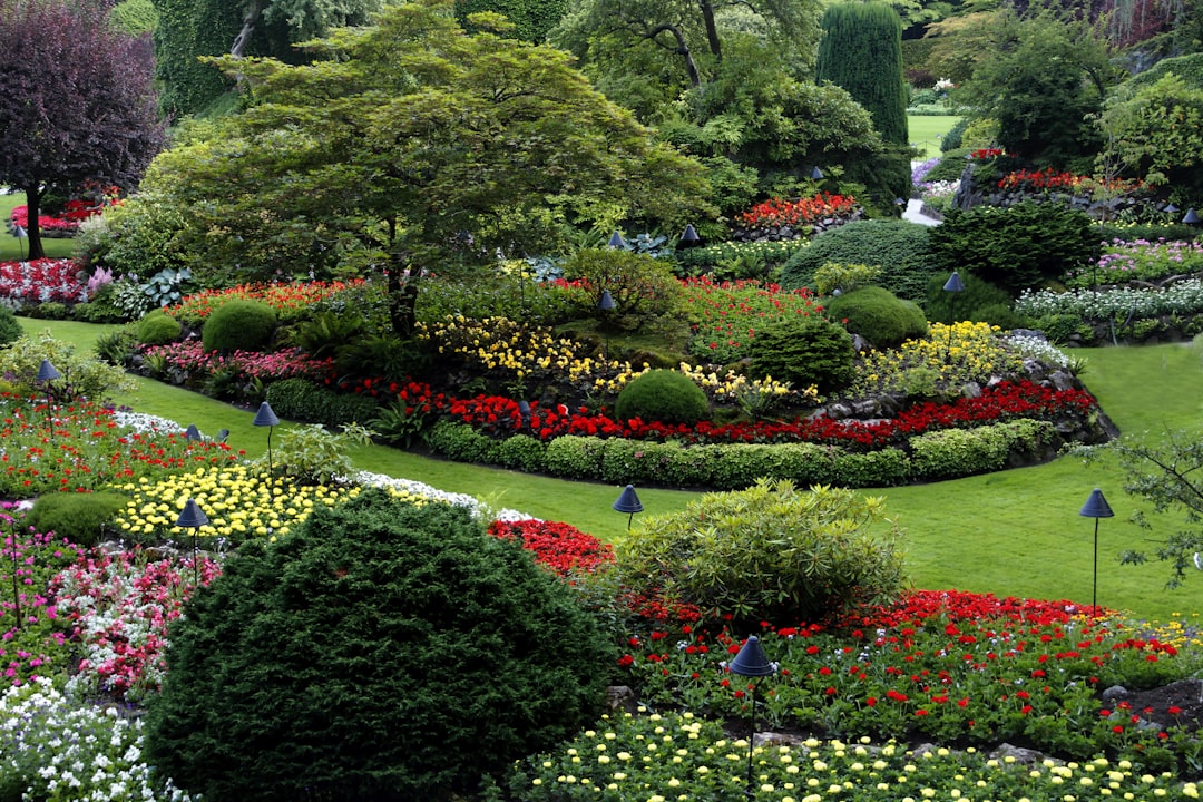 Lawn Care