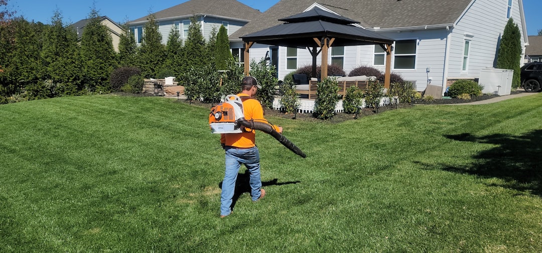 Lawn result 4