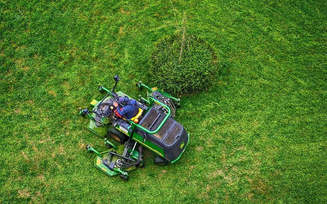 Lawn reel 2