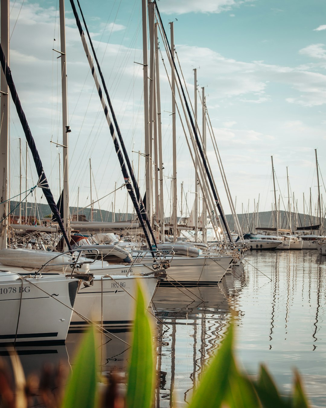 Dockage