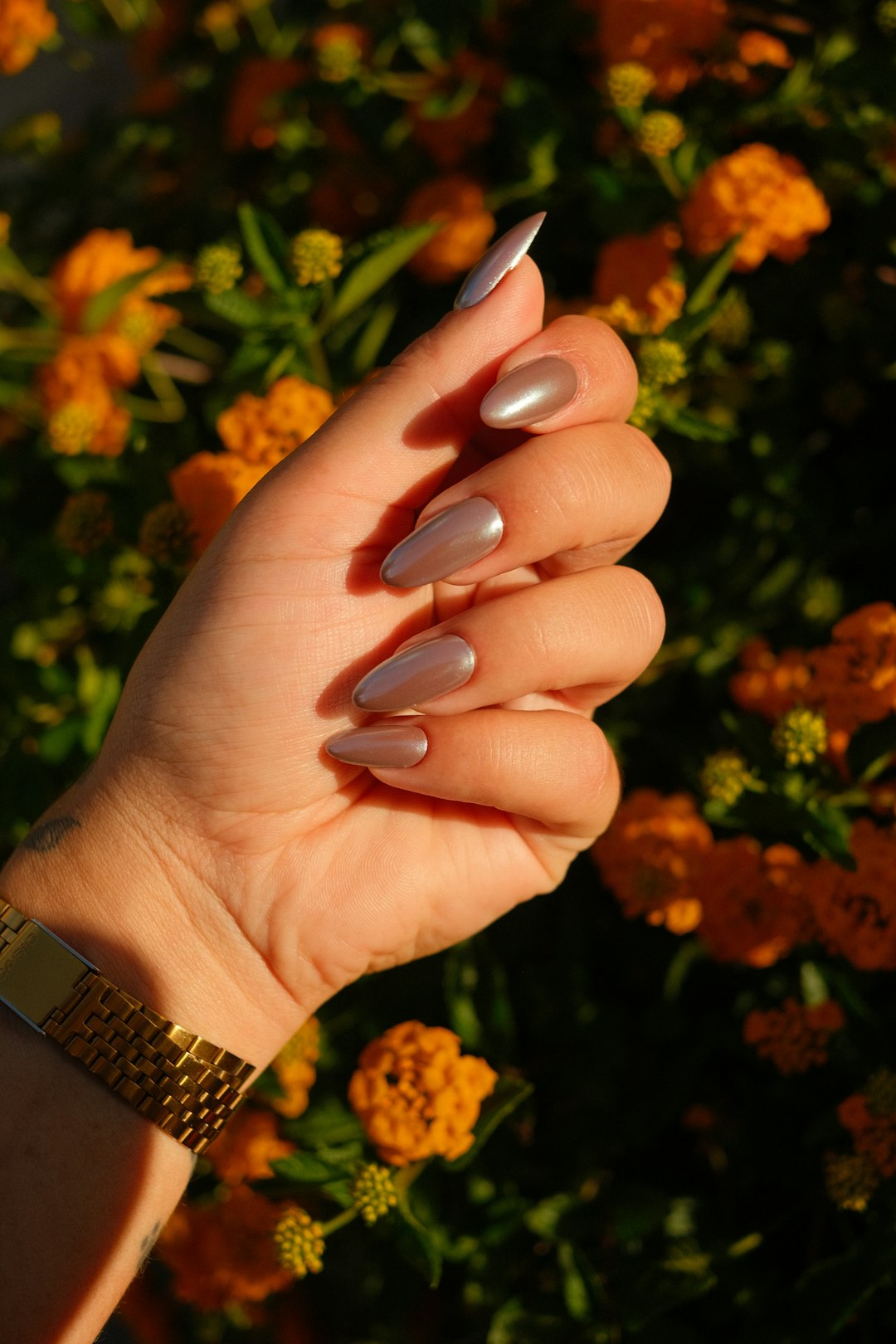 Seasonal Shades