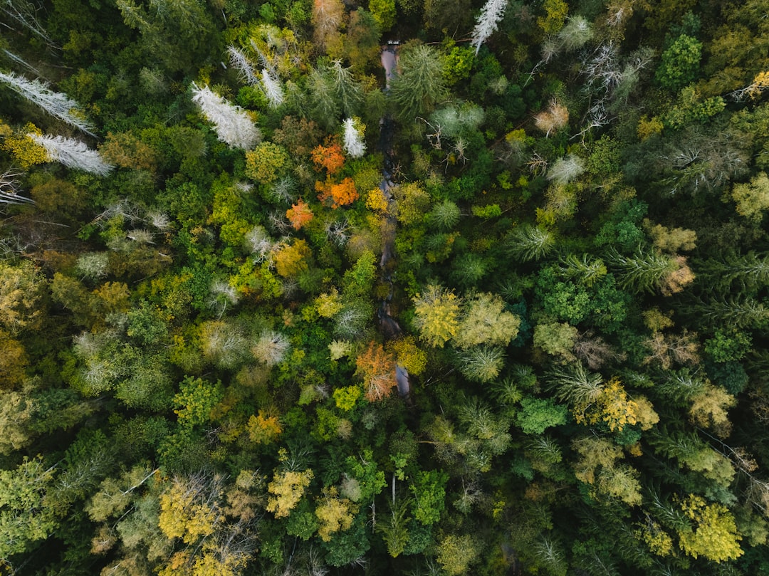 Nature Moment 4