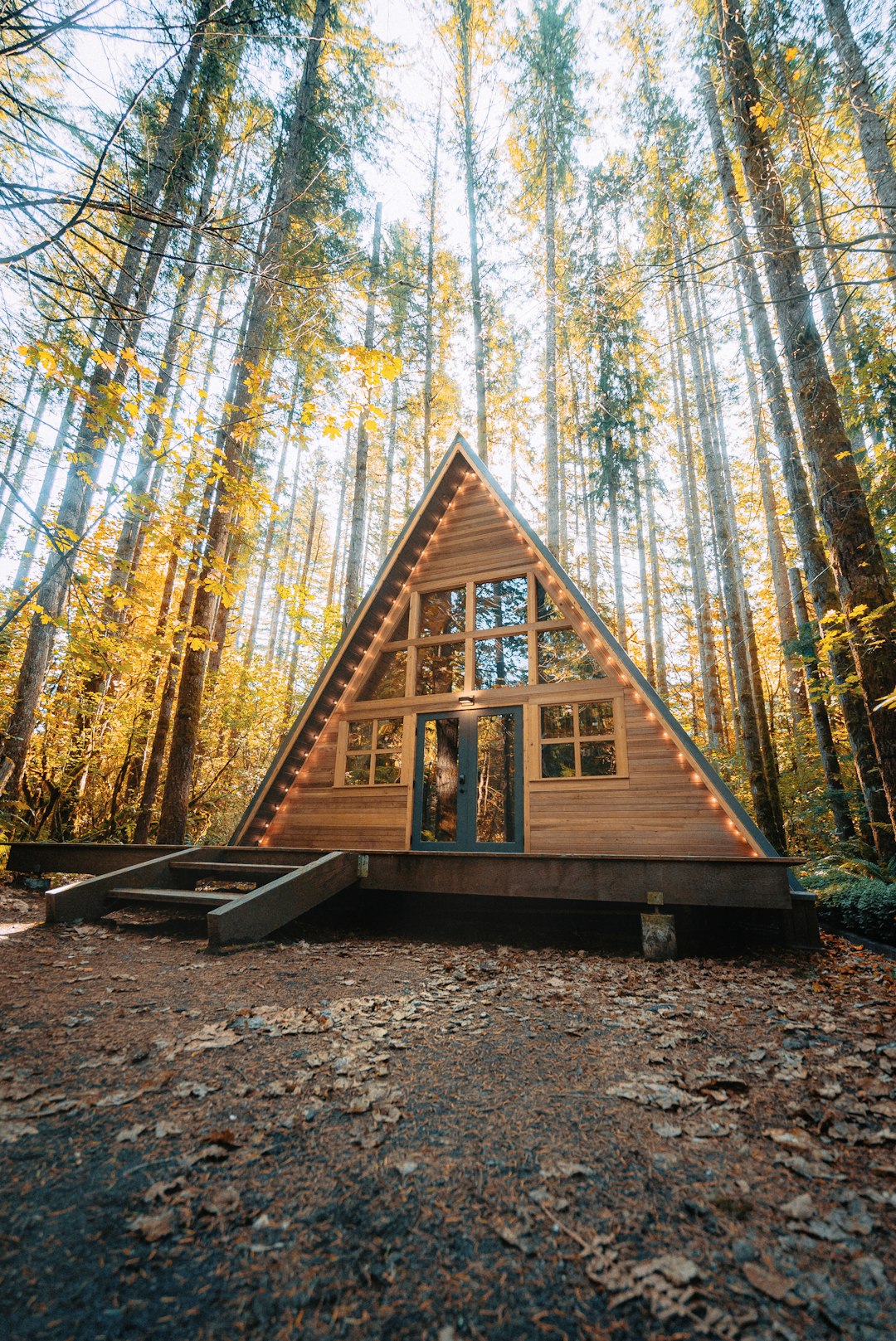 Nature Cabin Hero