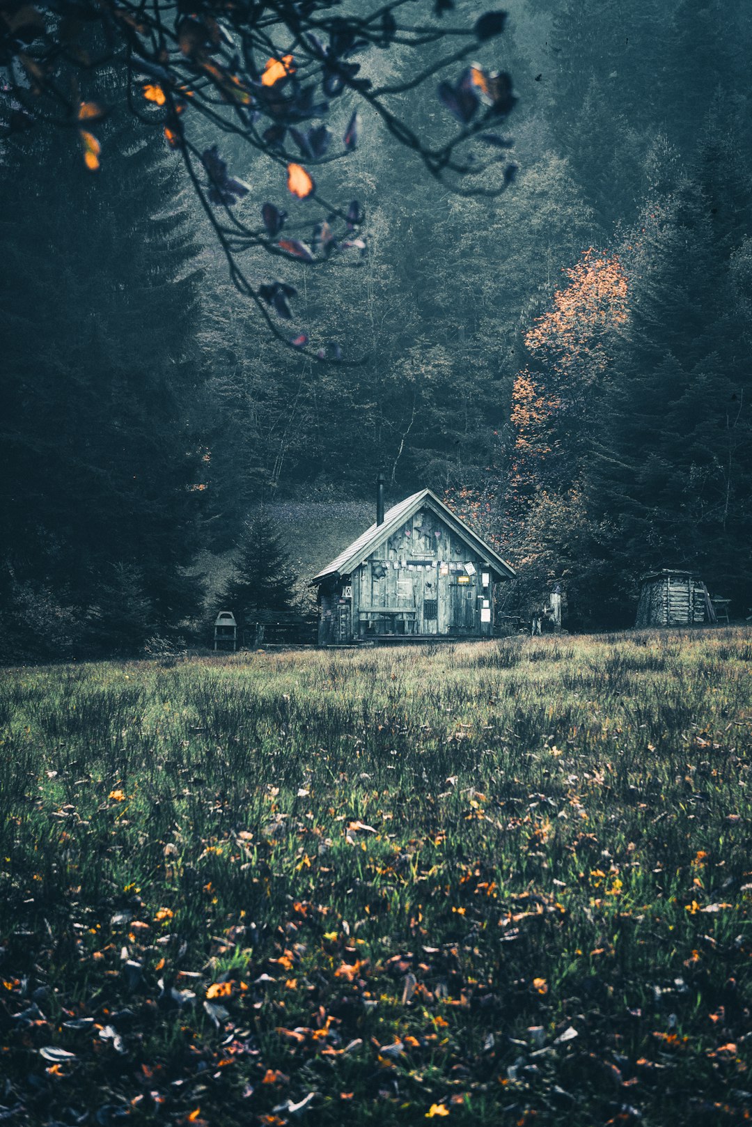 Cabin view