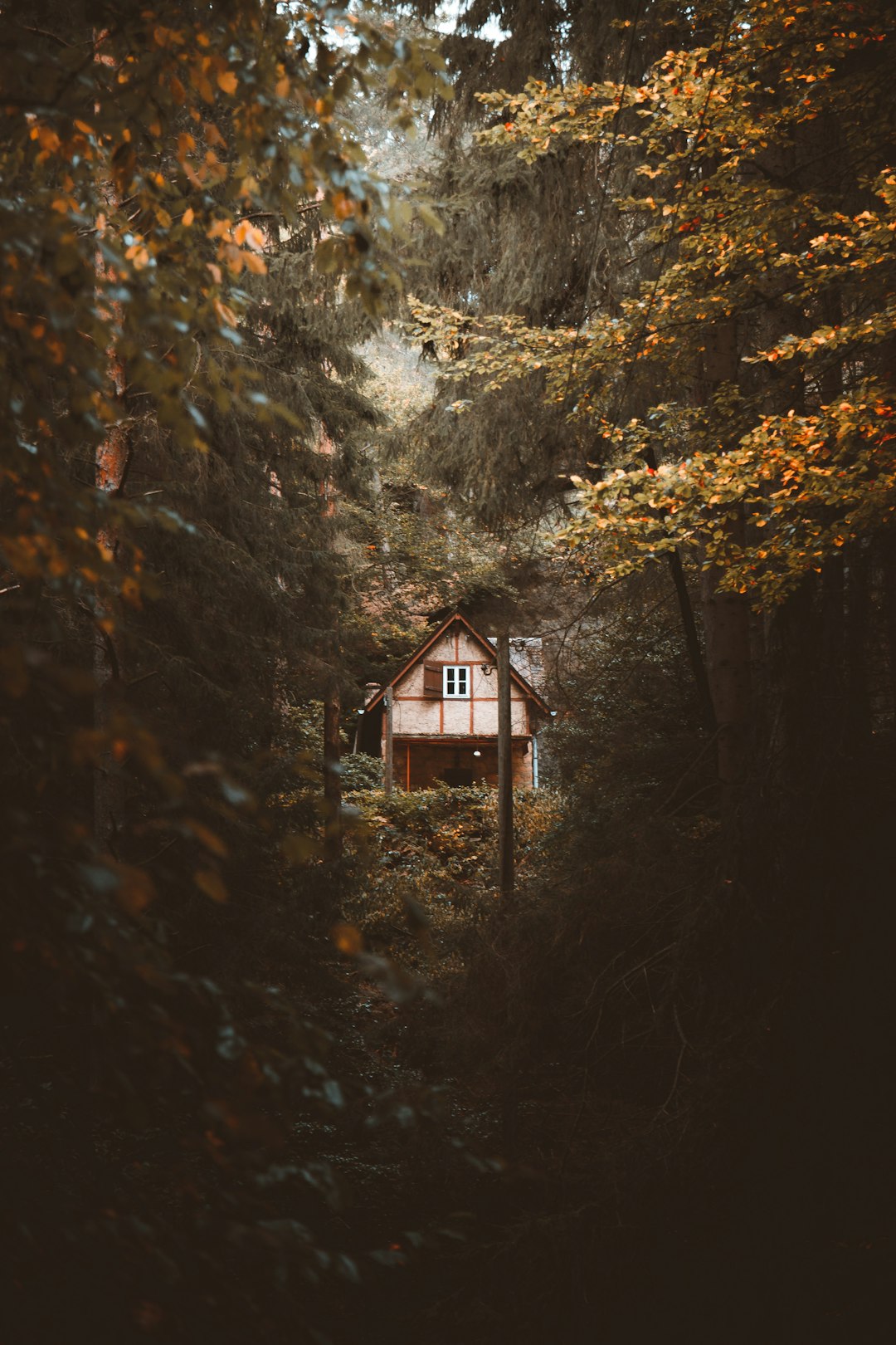 Luxury Glamping