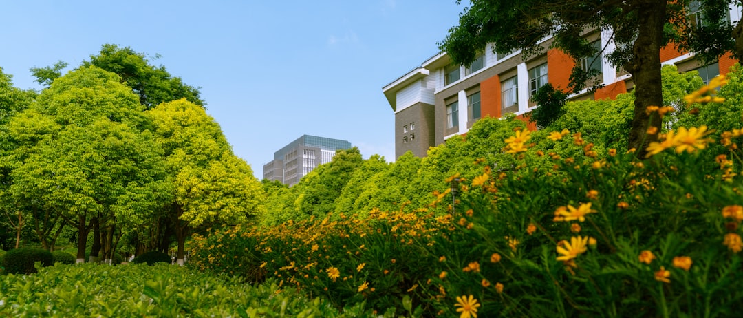 Nature Background