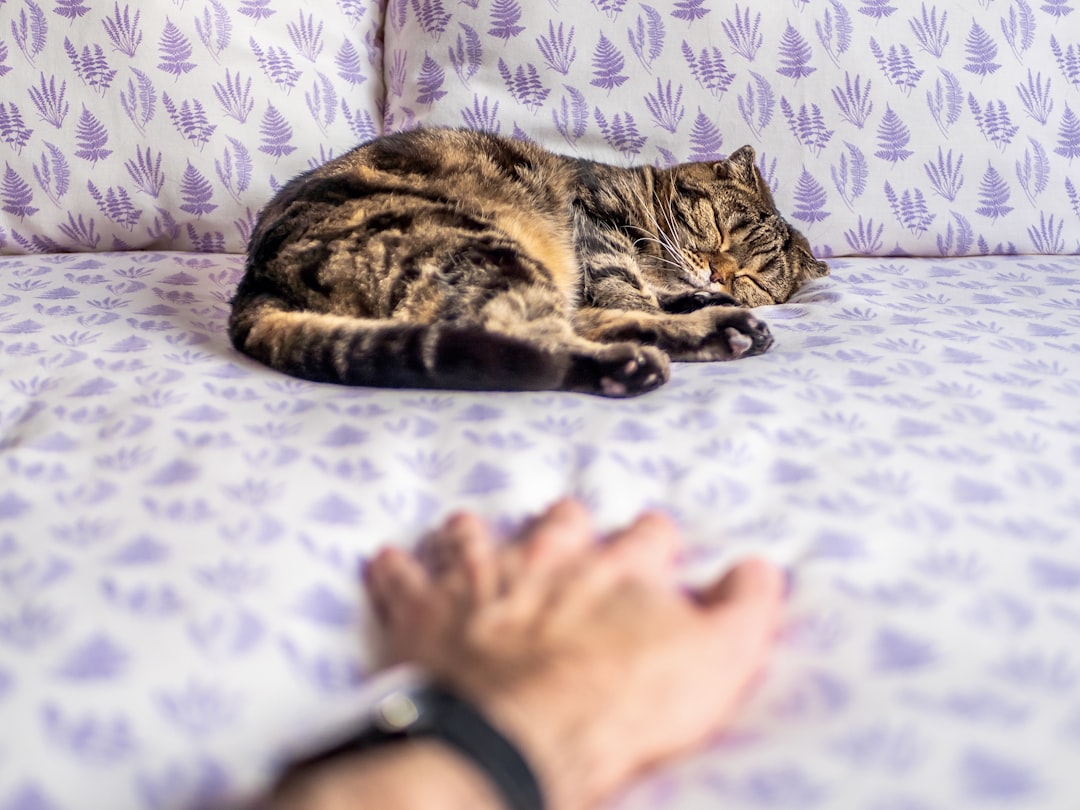 Fostering