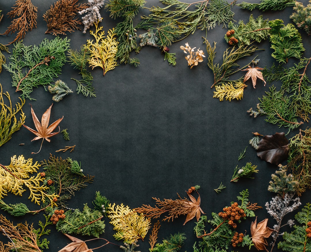 Seasonal Plants