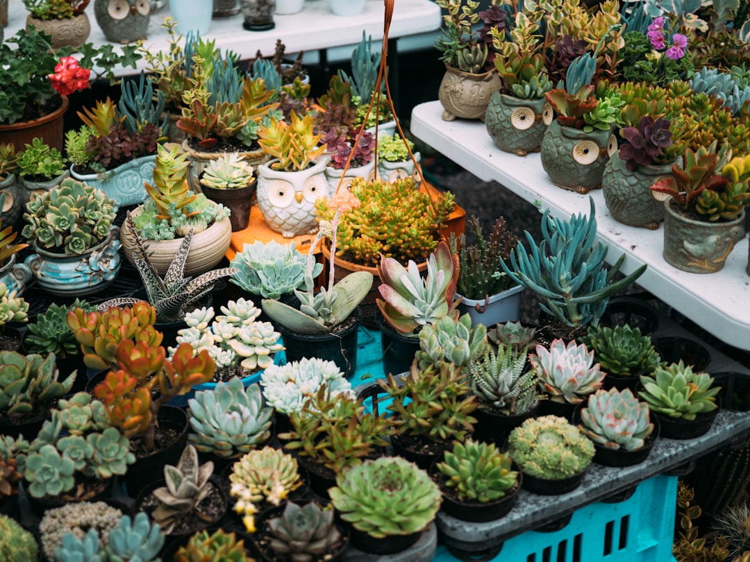 Rare Plants