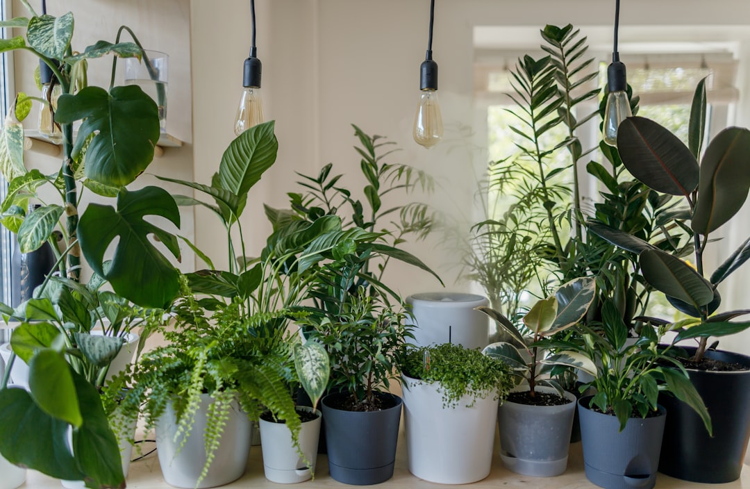 Interior plant styling