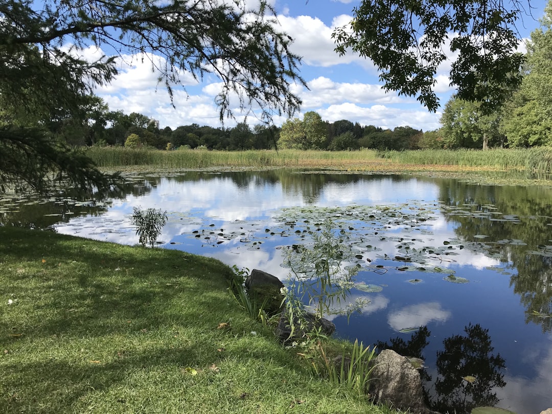 Aquatic Plants
