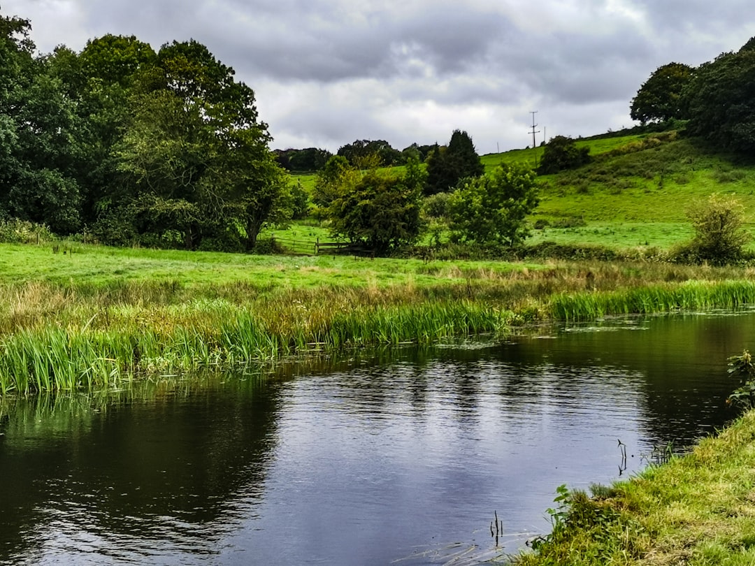 Serene Pond