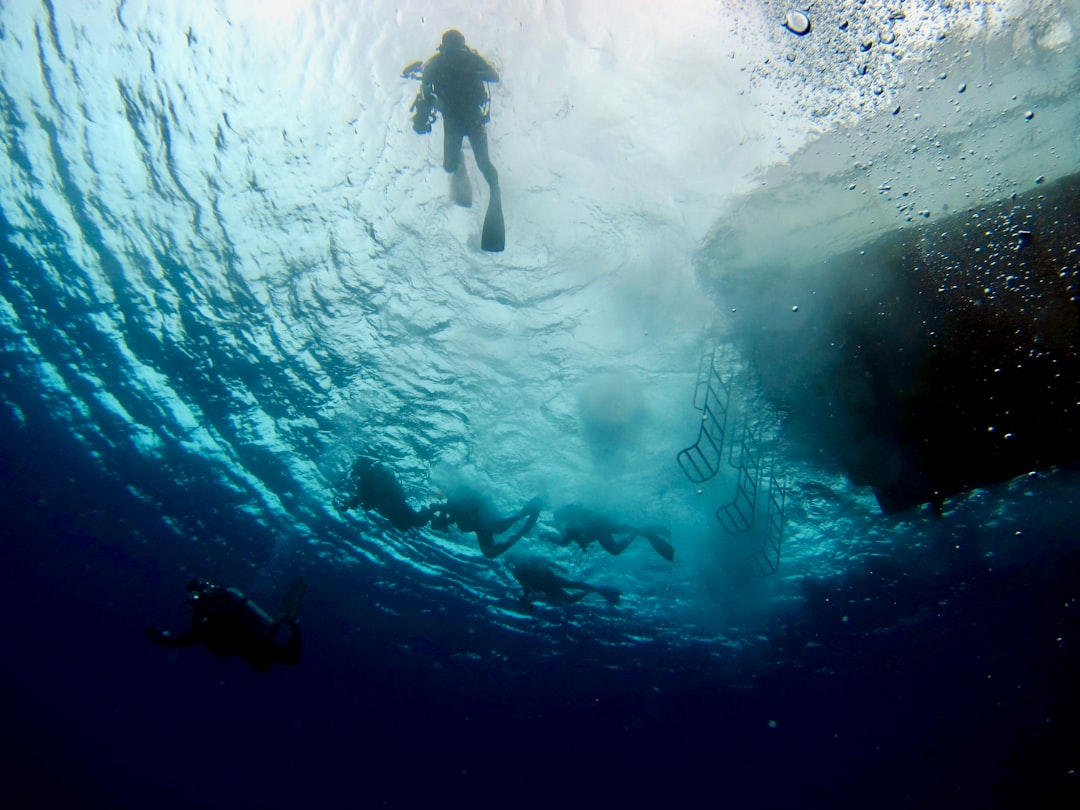 Reel 3