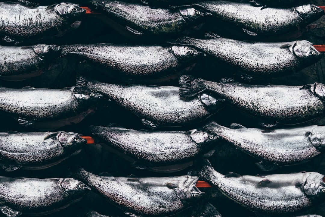 Omakase