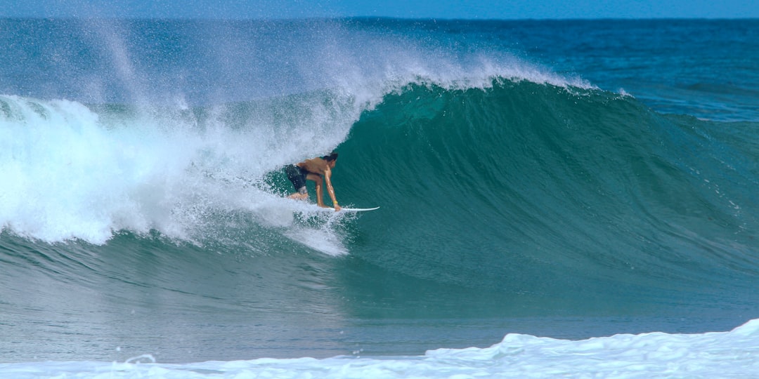 Surf Trip