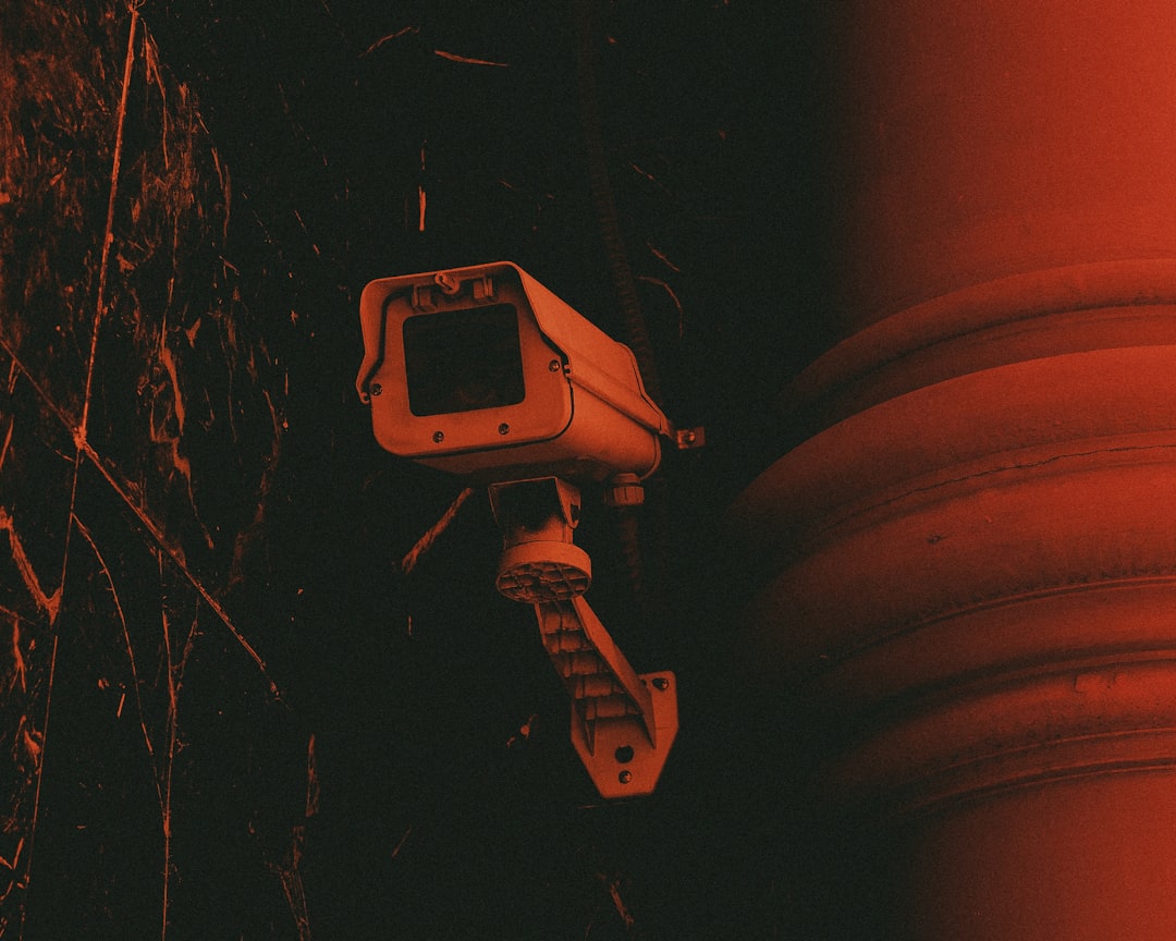 Security Clip 3