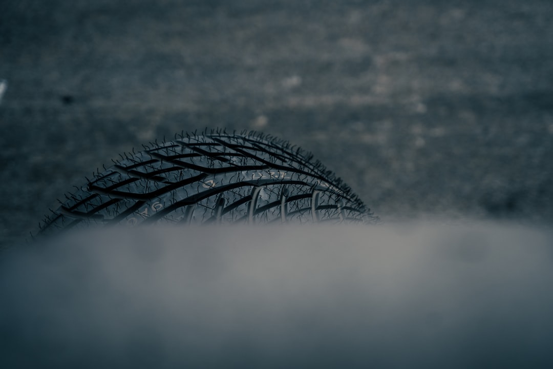 Reel 4