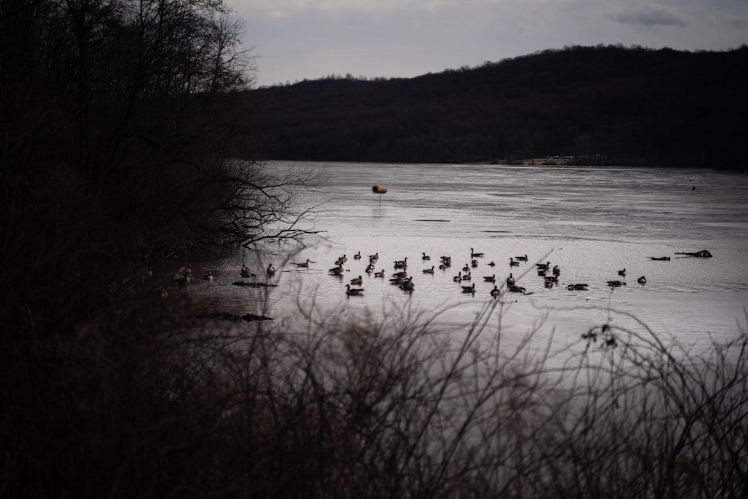 Habitat Management