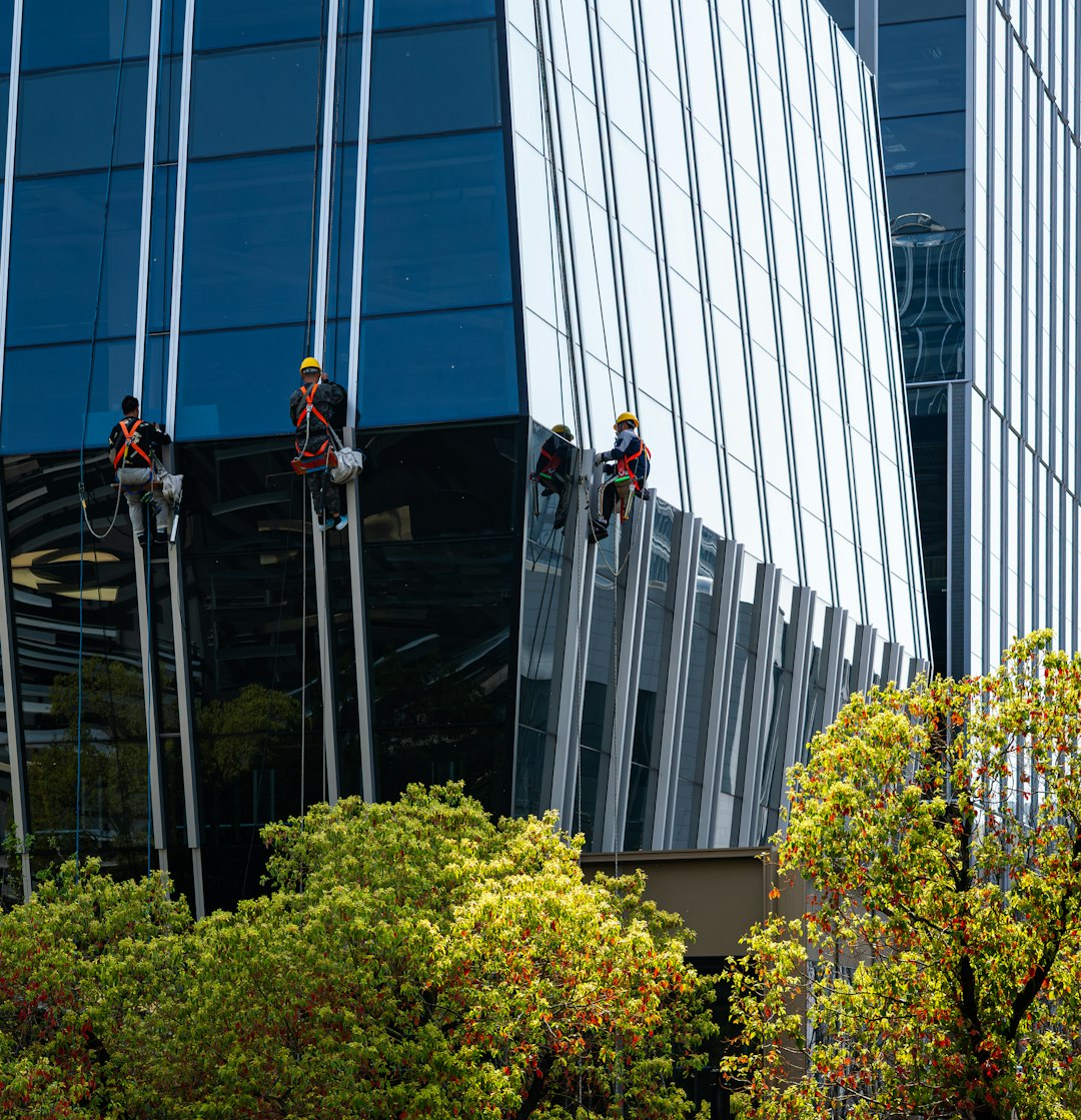 Double Pane Cleaning