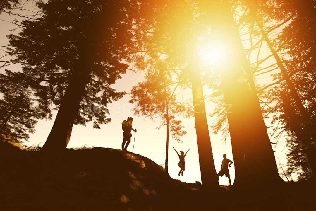 Survival Skills
