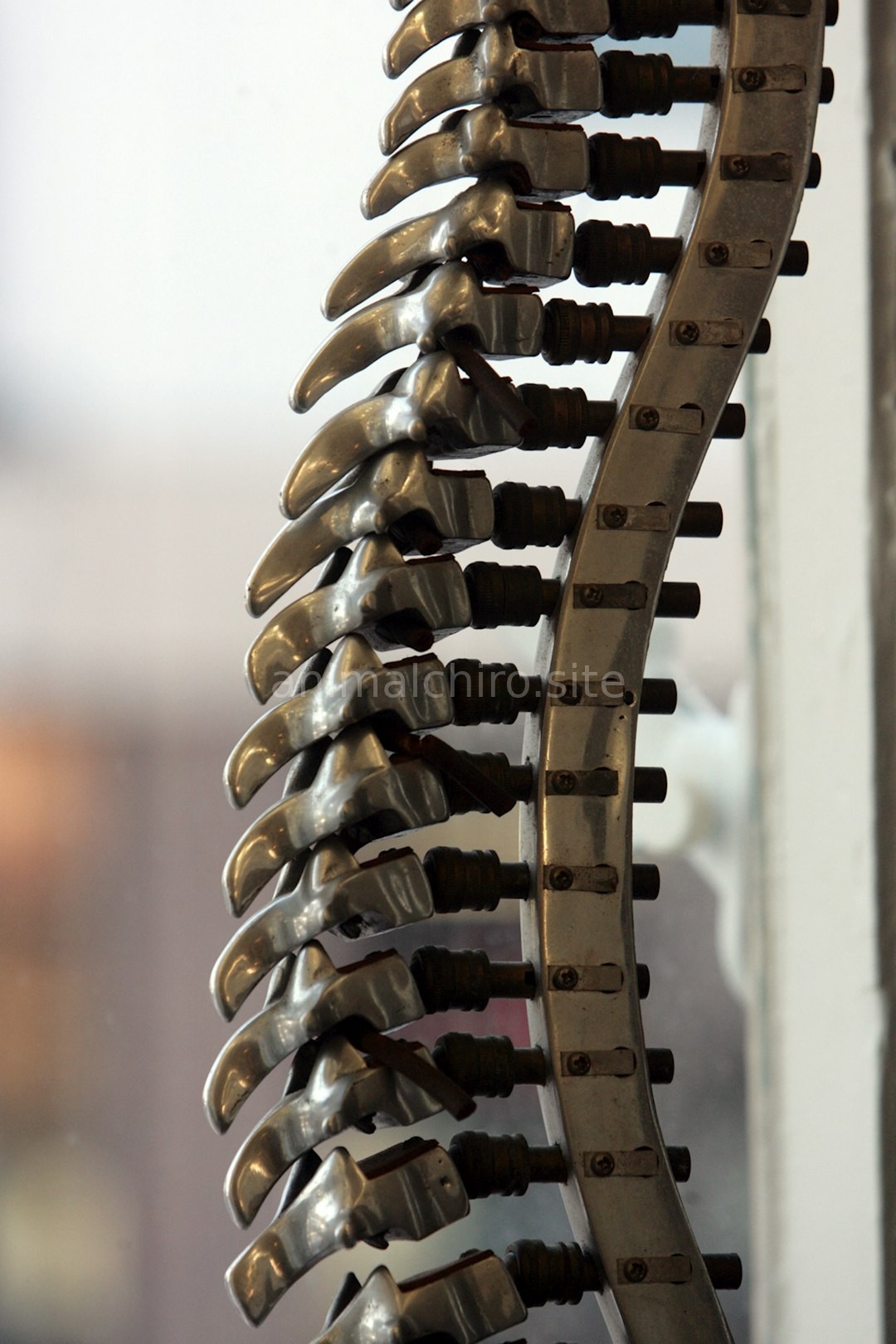 Postural Care