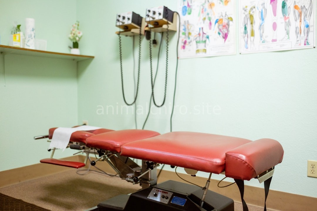 Clinic Interior