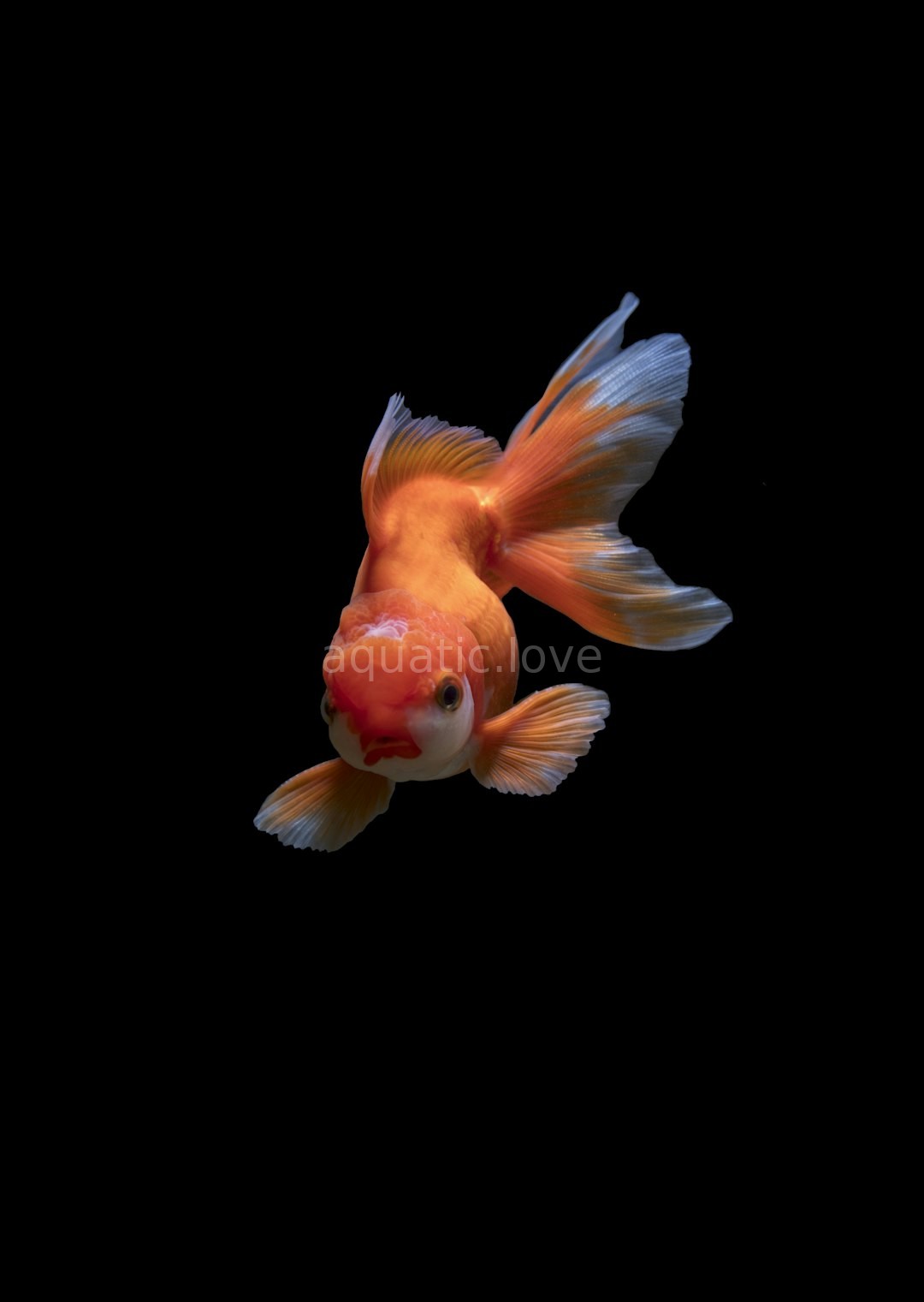 Reel 1