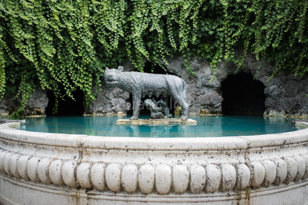 Premium Water Feature