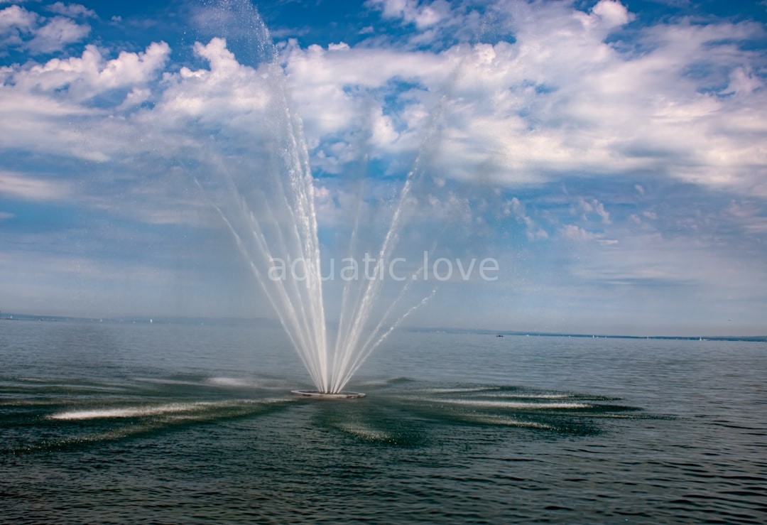 Water Feature Reel 1