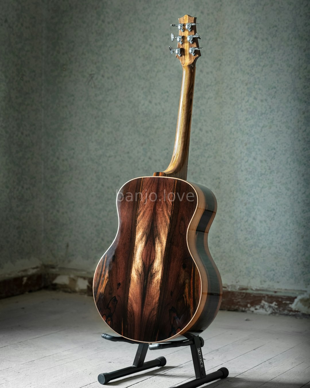 Banjo Details